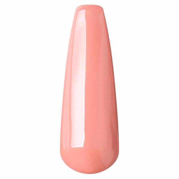 Gel Polish Nut Pudding-56 Nail