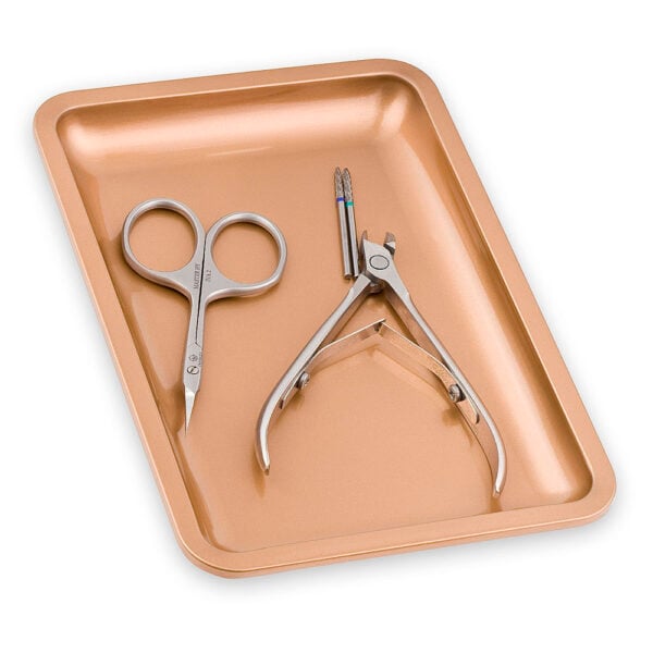 inox posudica za alate (champagne)