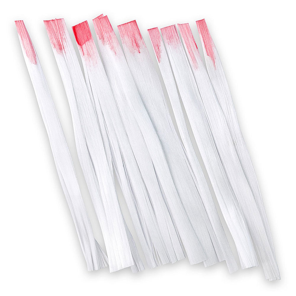 fiberglass set trakica | CICI NAILS